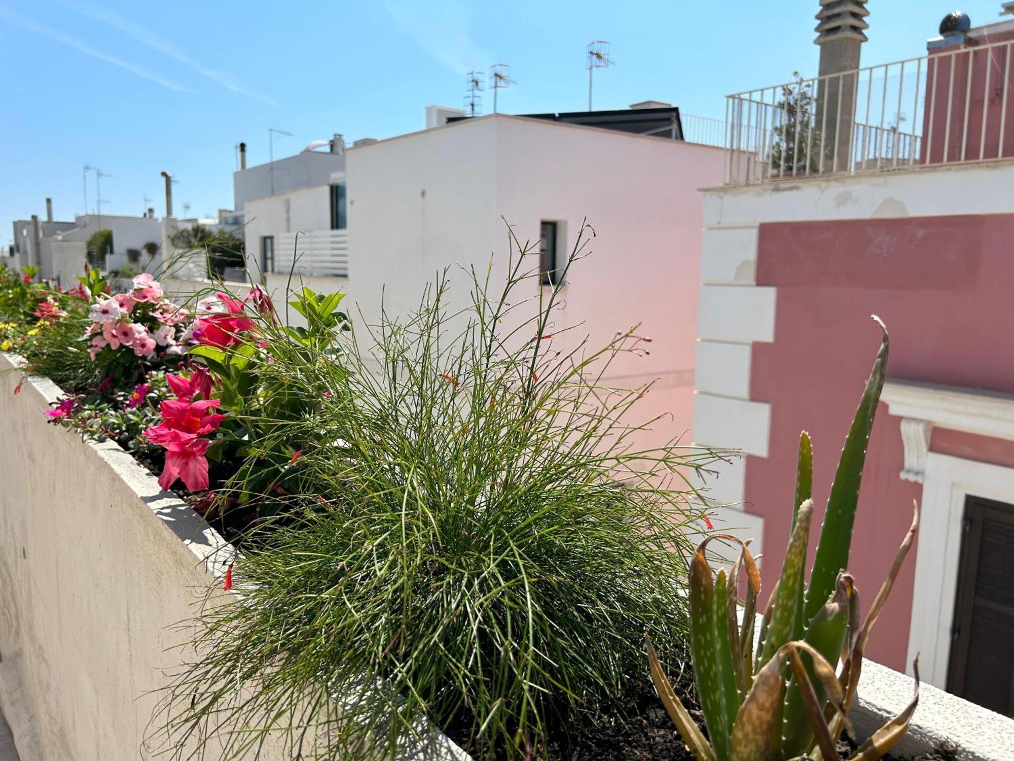 Trame Dimora Rachele Bed & Breakfast Polignano a Mare Exterior foto
