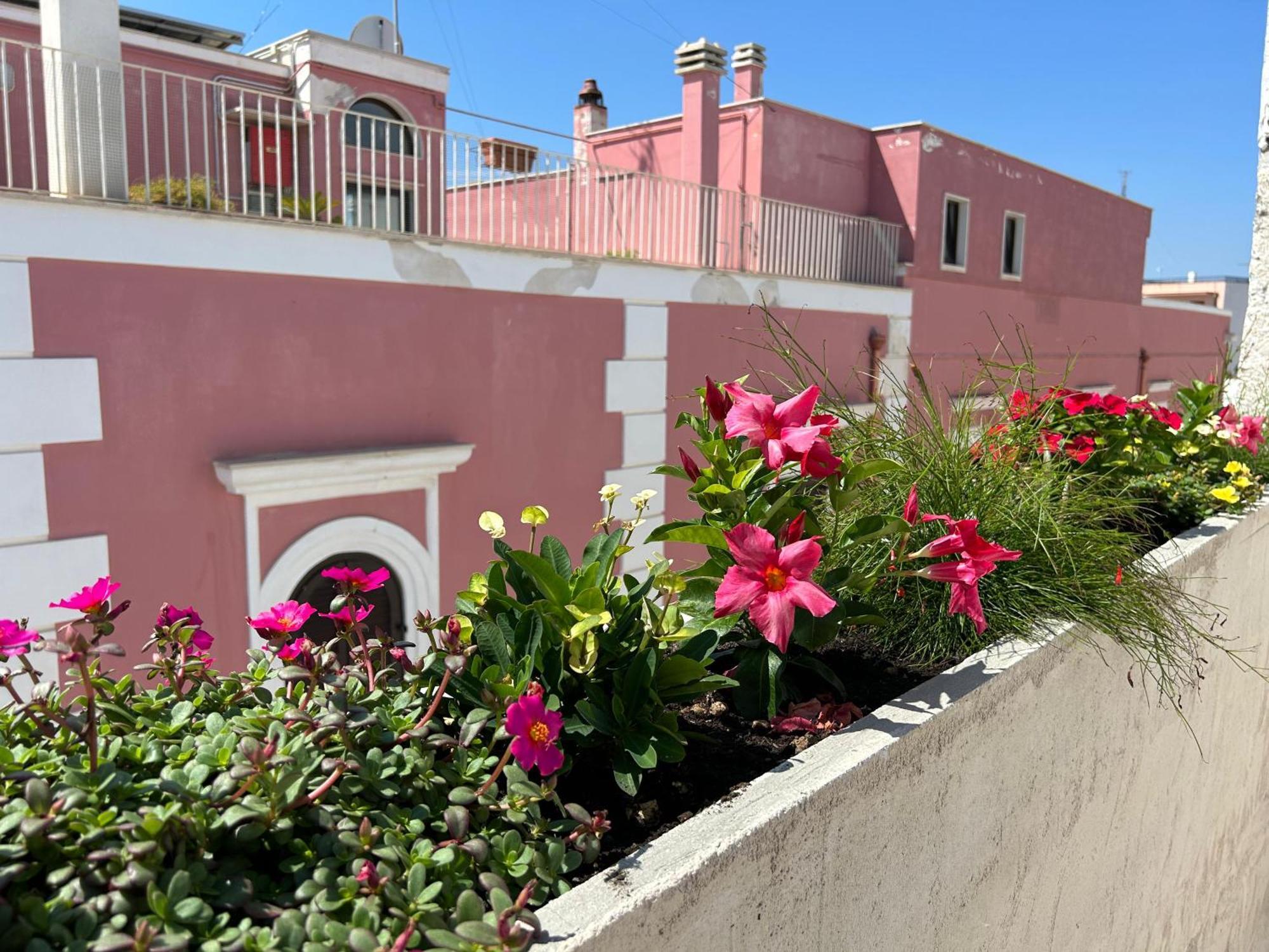 Trame Dimora Rachele Bed & Breakfast Polignano a Mare Exterior foto